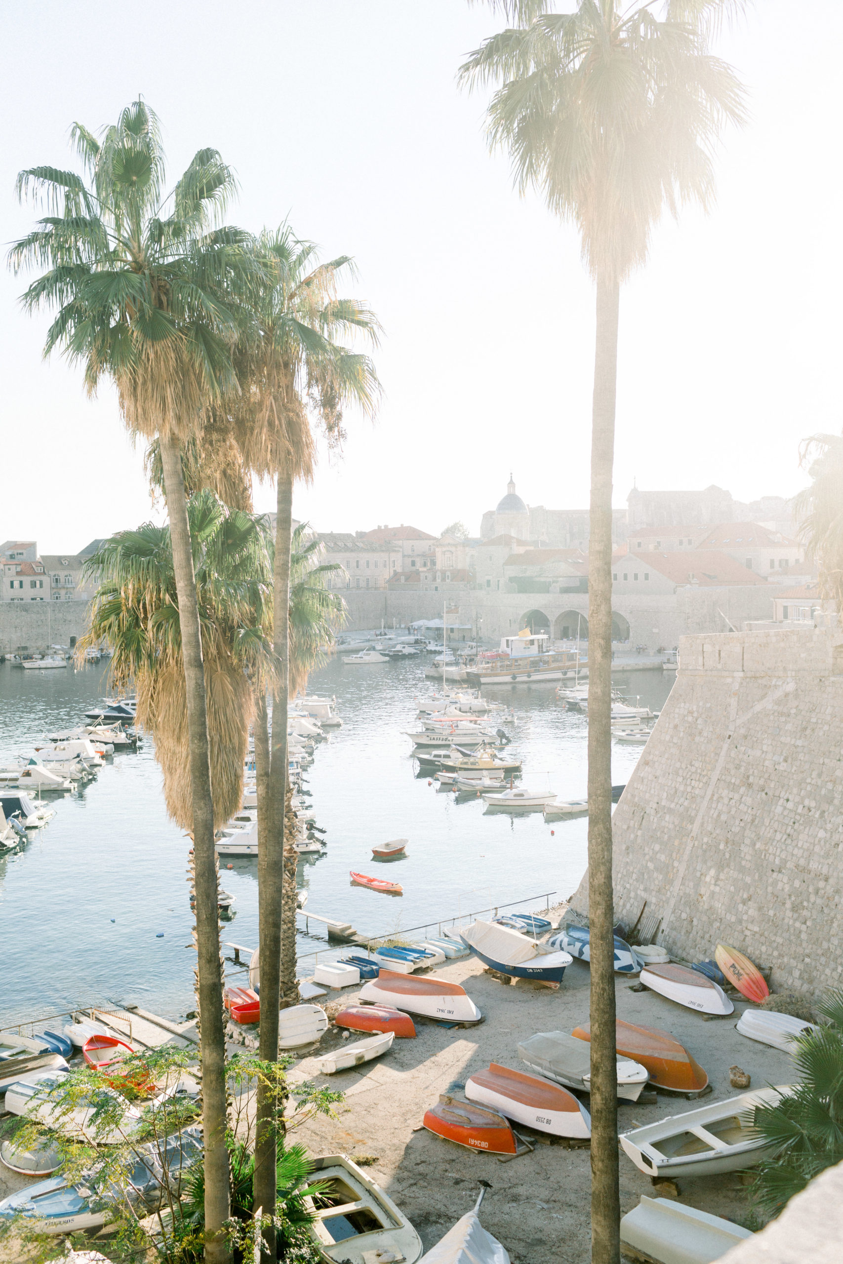 overlook onto port in Dubrovnik with palm trees